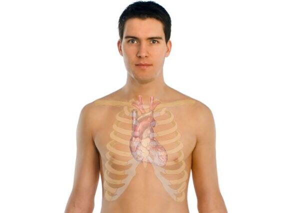 как паразитите засягат човешките органи