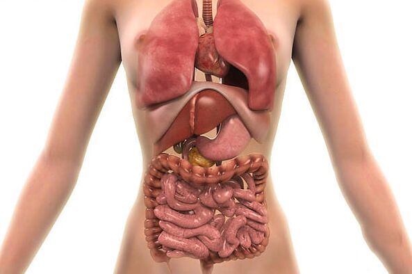 паразити в човешкото тяло